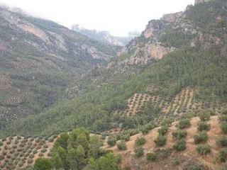 Suelos en Villacarrillo 24