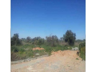 Suelo urbanizable sectorizado en Ctra Mairena-Almensilla - Sc ST-3 El Mármol -  Mairena del Aljarafe (Sevilla) 15