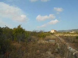 Suelo en Pda Plá de La Font, Villalonga (Valencia) 26