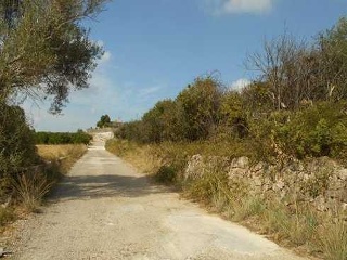 Suelo en Pda Plá de La Font, Villalonga (Valencia) 28