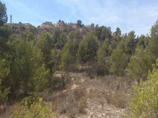 Suelos en Sector el Arquet 11