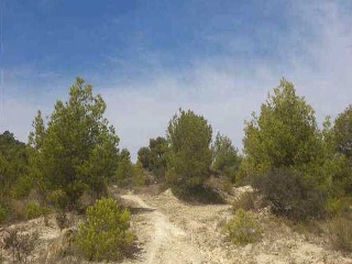 Suelos en Sector el Arquet 12