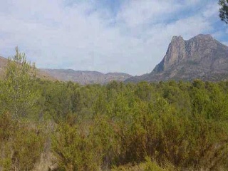 Suelos en Sector el Arquet 13
