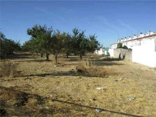 Suelo urbano no consolidado en Villanueva del Ariscal - Sevilla - 18