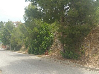 Solar en Av Delta del Ebro  18