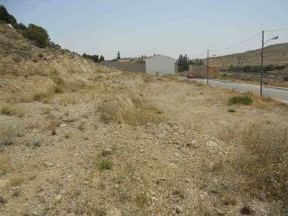 Suelo en Tobarra 19
