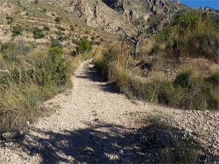 Suelo en Abanilla 20