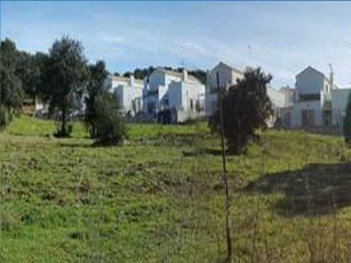 Suelo en San Nicolás de Puerto 20