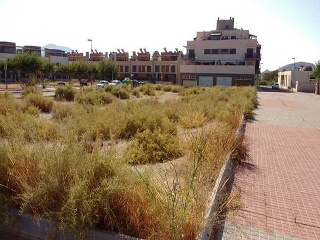 Edificio de garajes en construcción en Monóvar 6
