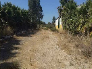 Suelo en Rota 11