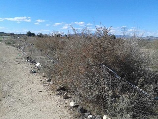 Suelo en Sangonera la Seca 22