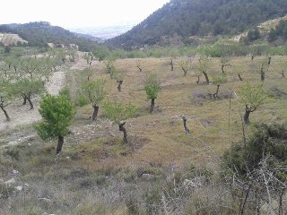 Suelo en C/ Las Lagunas, Mula (Murcia) 19