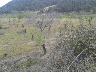 Suelo en C/ Las Lagunas, Mula (Murcia) 20
