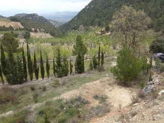 Suelo en C/ Las Lagunas, Mula (Murcia) 22