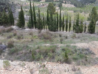 Suelo en C/ Las Lagunas, Mula (Murcia) 23