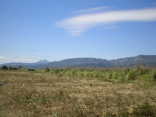 Parcelas en Cullera 11