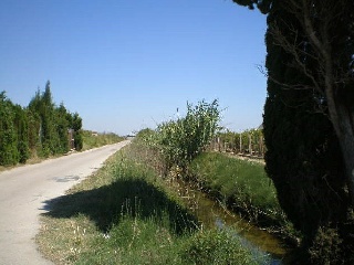 Parcelas en Cullera 12