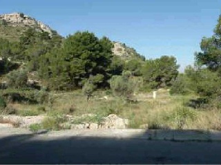 Suelo en Petrer - Alicante - 16