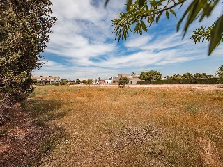 Suelo urbano con edificación en L´Aldea 53
