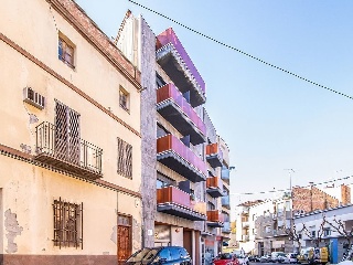 Mayor 24