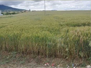 Suelos en Galar - Navarra - 17