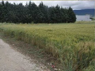 Suelos en Galar - Navarra - 18