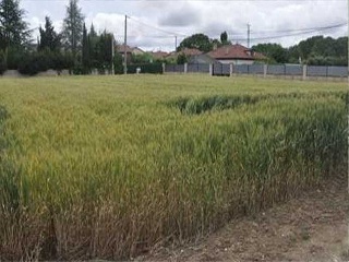 Suelos en Galar - Navarra - 19