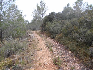 Suelos rústicos en Alcalà de Xivert - Castellón - 24