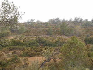 Suelos rústicos en Alcalà de Xivert - Castellón - 28