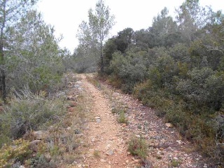 Suelos rústicos en Alcalà de Xivert - Castellón - 29