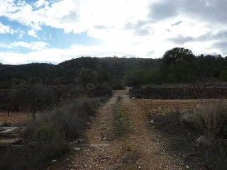 Suelo en Pt Cava 15