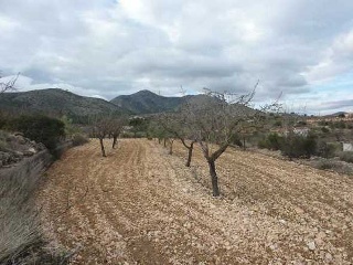 Suelo en Pt Cava 16