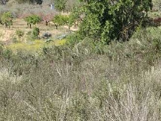 Suelo en Ptda. Carrascot, L´Olleria (Valencia) 17