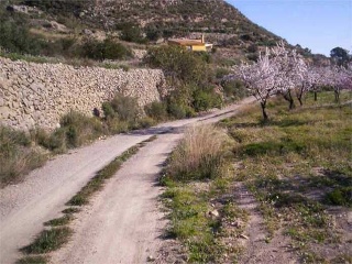 Suelo en Partida Bortolons 27