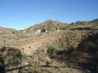 Suelo rústico situado en Paraje Albozador 29