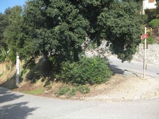 Suelo en Avda Dosrius 11