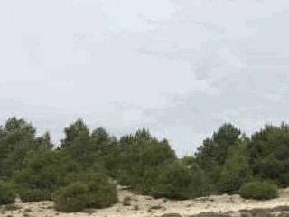Suelo en Zarza de Tajo - Cuenca - 15