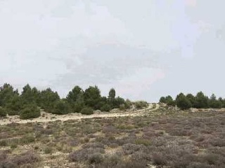Suelo en Zarza de Tajo - Cuenca - 17