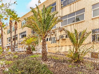 Oficinas en Las Palmas de Gran Canaria 31