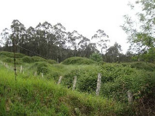 Suelo en Llanera 12