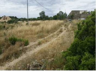 Suelo en Tortosa - Tarragona - 23