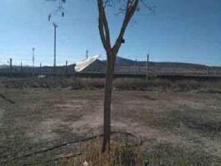 Suelo urbano en Av. Constitución - La Encina 19