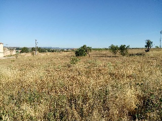 Suelo urbanizable en San Antonio 24