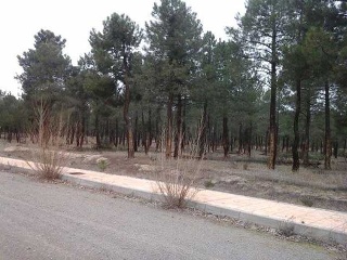 Suelo rústico en Villanueva de Gómez 18