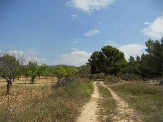 Partida Talades 15