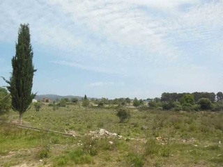 Suelos en C/ Llevant 14