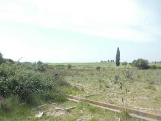 Suelos en C/ Llevant 15