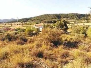 Suelo en C/ Camp Santa Cana 17