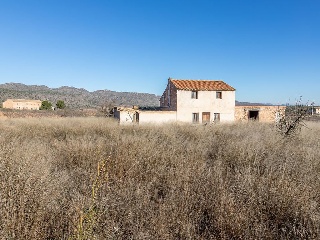Suelo en Pt Quitapellejos - Yecla - 19