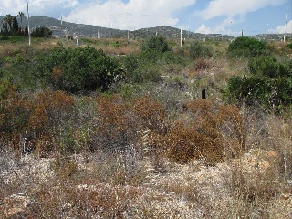 Suelo en Av del Pinar - Ptda Pichell - 21